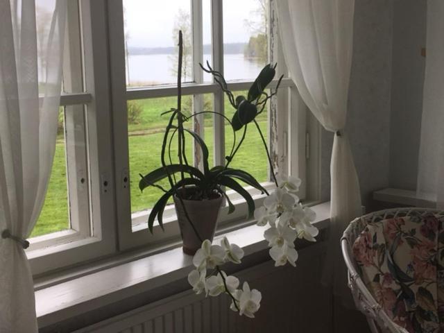 Lomatila Ollila Farm Stay Kerimäki Εξωτερικό φωτογραφία